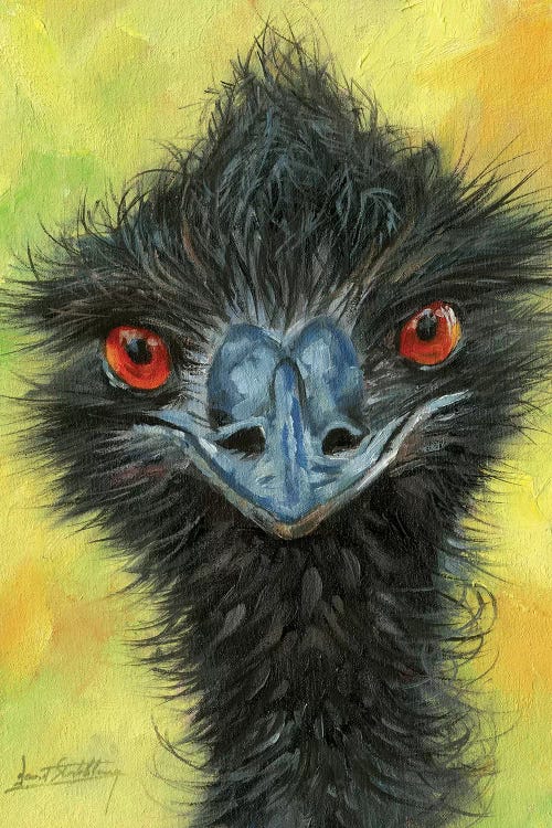 Emu by David Stribbling wall art