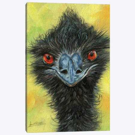 Emu Canvas Print #STG207} by David Stribbling Canvas Art