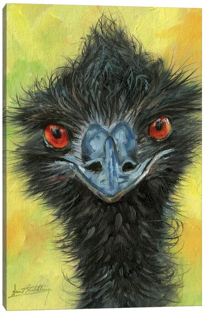 Emu Canvas Art Print - David Stribbling