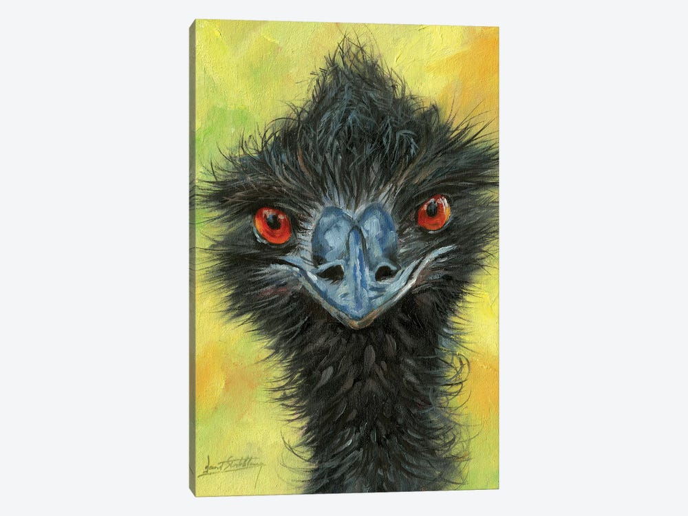 Emu by David Stribbling 1-piece Canvas Art Print