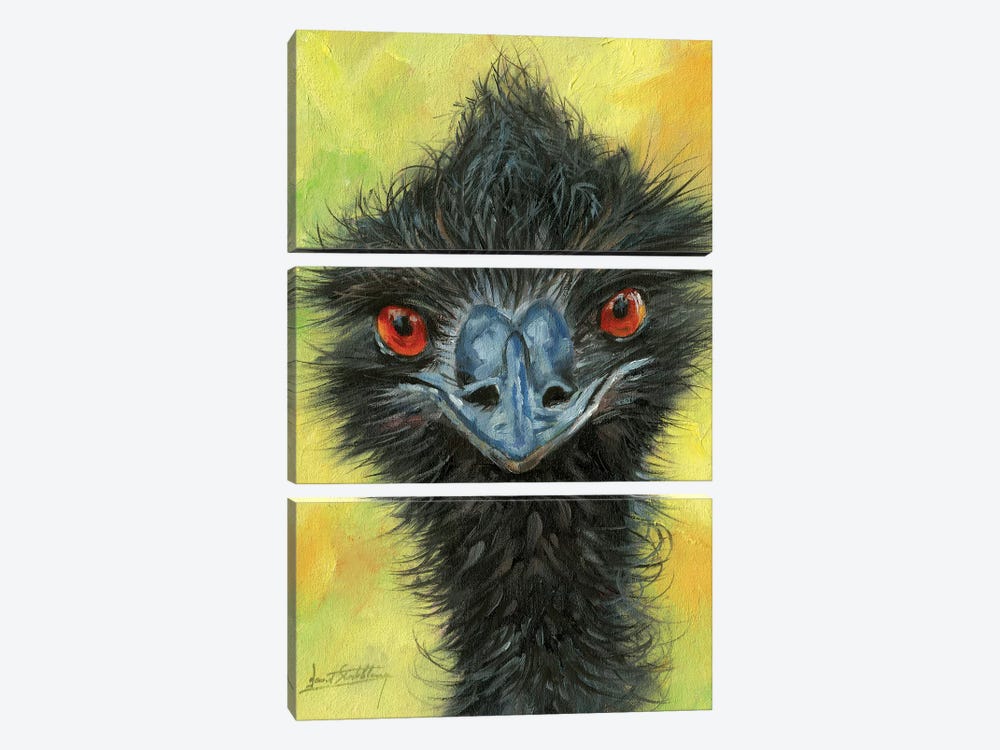 Emu by David Stribbling 3-piece Canvas Print