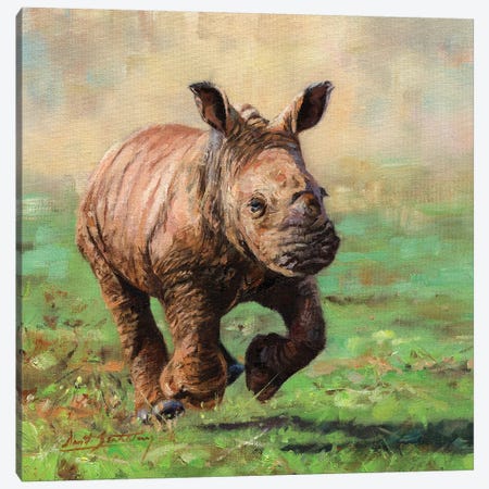 Rhino Calf Running Canvas Print #STG209} by David Stribbling Art Print