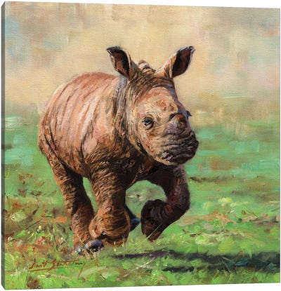 Rhino Calf Running Canvas Art Print - Rhinoceros Art