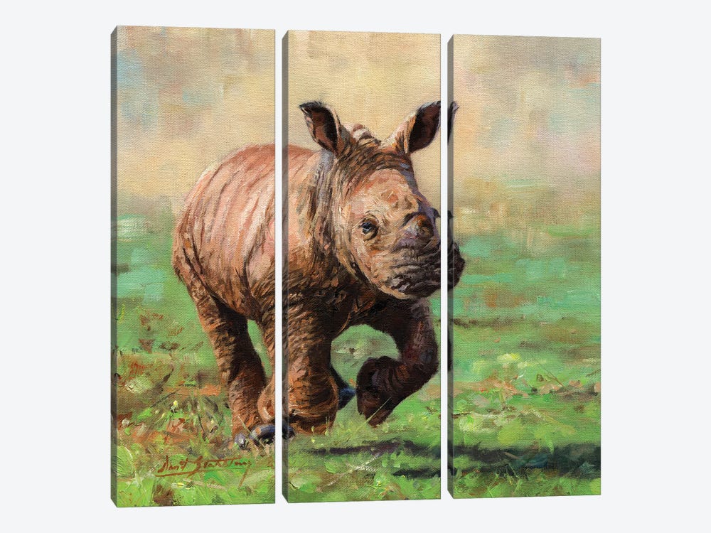 Rhino Calf Running by David Stribbling 3-piece Art Print