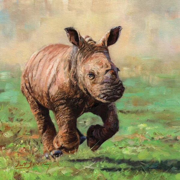 David Stribbling: Rhino Calf Running by David Stribbling