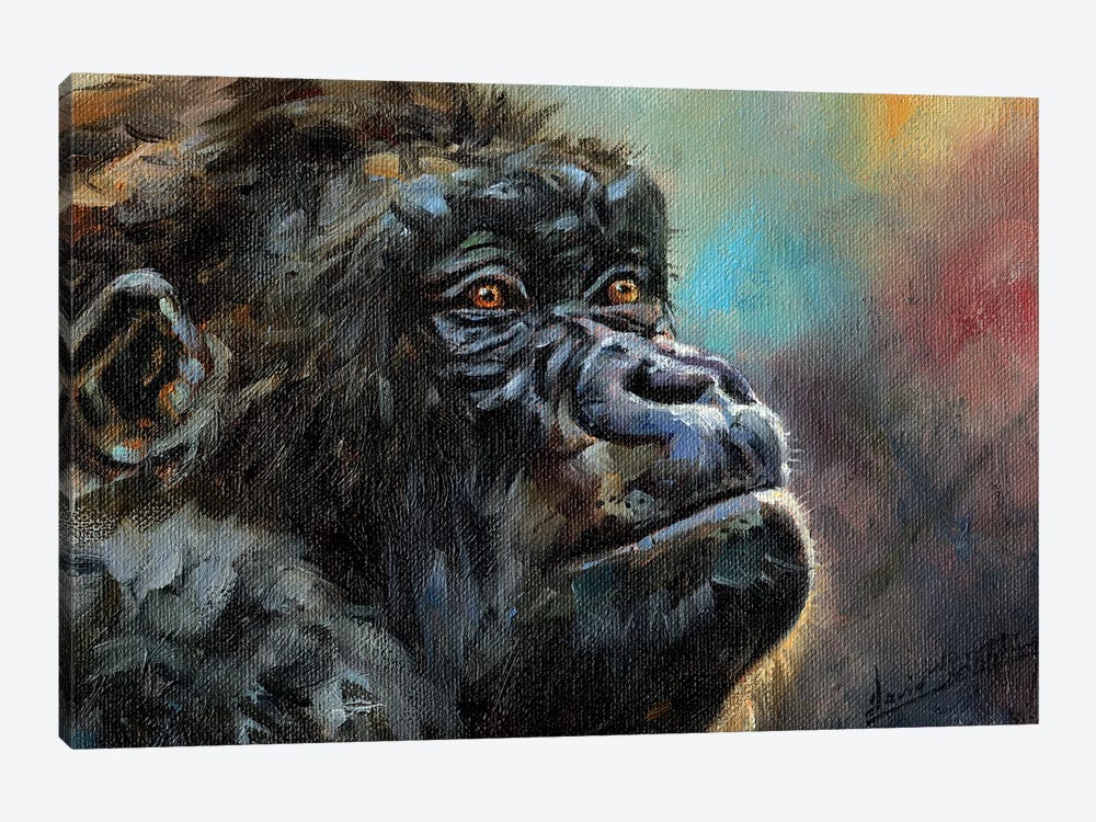 Study Of A Gorilla by David Stribbling 1-piece Canvas Print