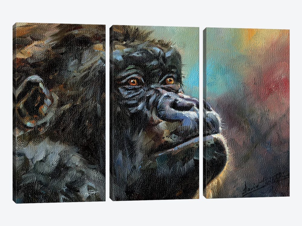 Study Of A Gorilla by David Stribbling 3-piece Canvas Print
