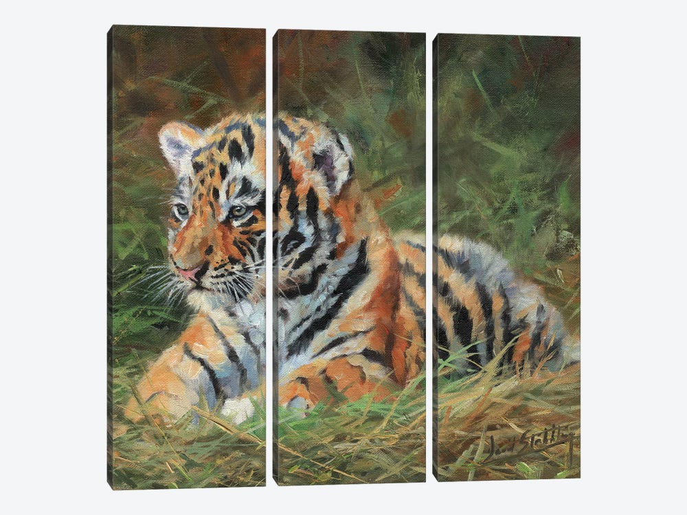 Tiger Cub Laying Down In Grass 3-piece Canvas Artwork