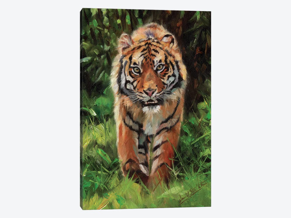 Tiger Prowl by David Stribbling 1-piece Canvas Wall Art
