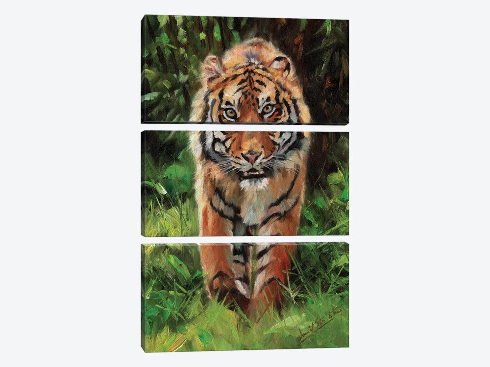 Tiger Prowl by David Stribbling 3-piece Canvas Wall Art