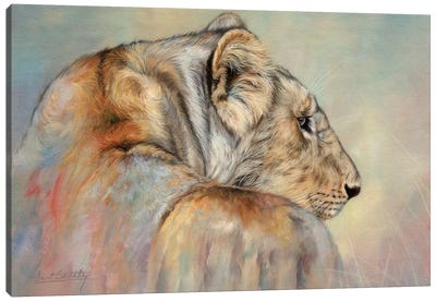 Lady In Waiting (Lioness) Canvas Art Print - David Stribbling