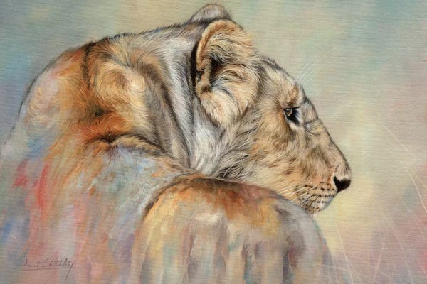 David Stribbling: Lady In Waiting (Lioness) by David Stribbling