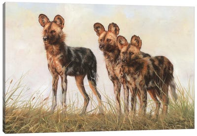 3 African Wild Dogs Canvas Art Print - Wildlife Conservation Art