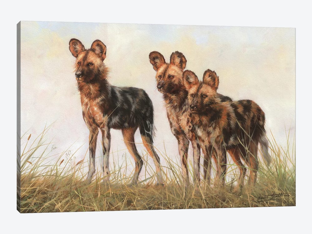 3 African Wild Dogs by David Stribbling 1-piece Canvas Wall Art