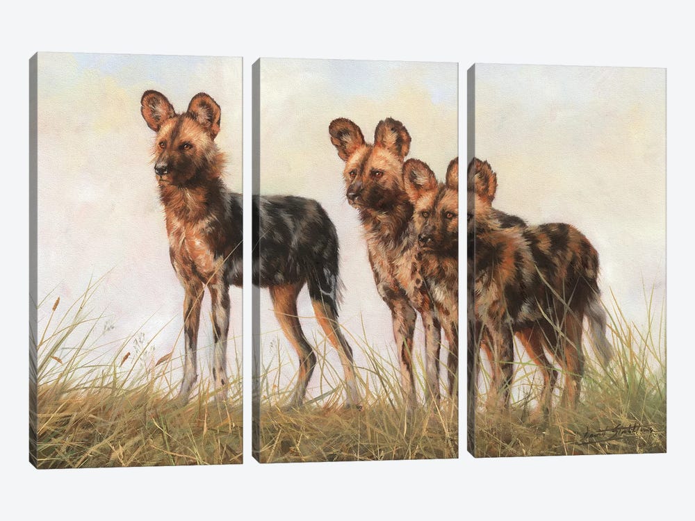 3 African Wild Dogs by David Stribbling 3-piece Canvas Artwork