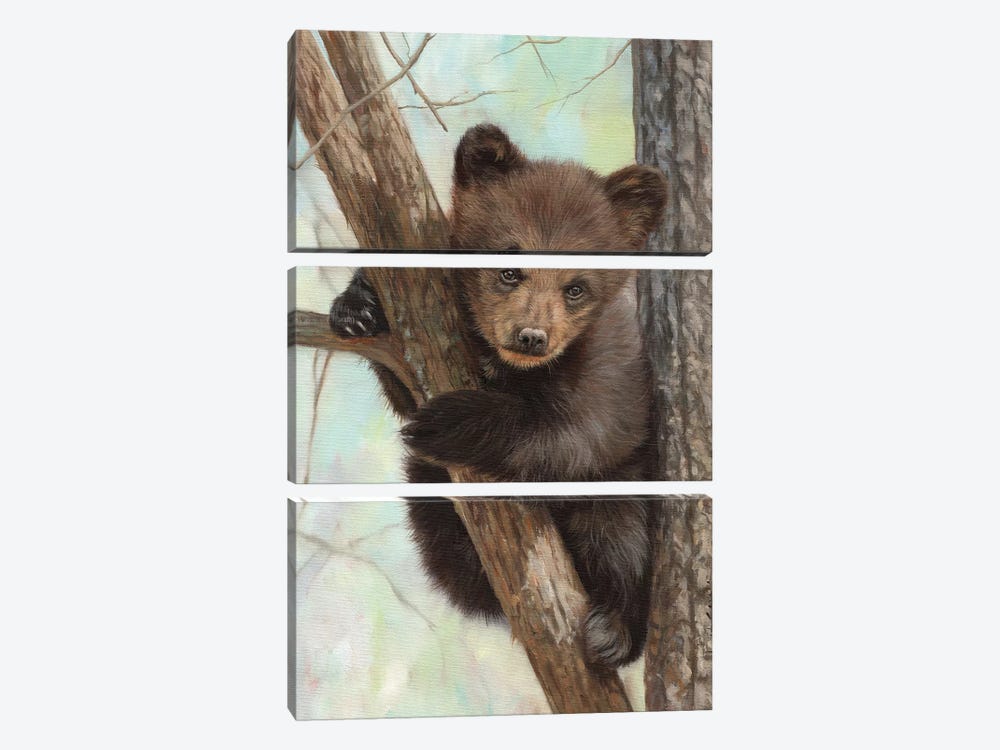 Brown Bear Cub In Tree by David Stribbling 3-piece Canvas Art