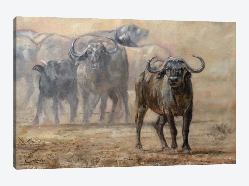 Buffalo Zambia by David Stribbling 1-piece Canvas Print