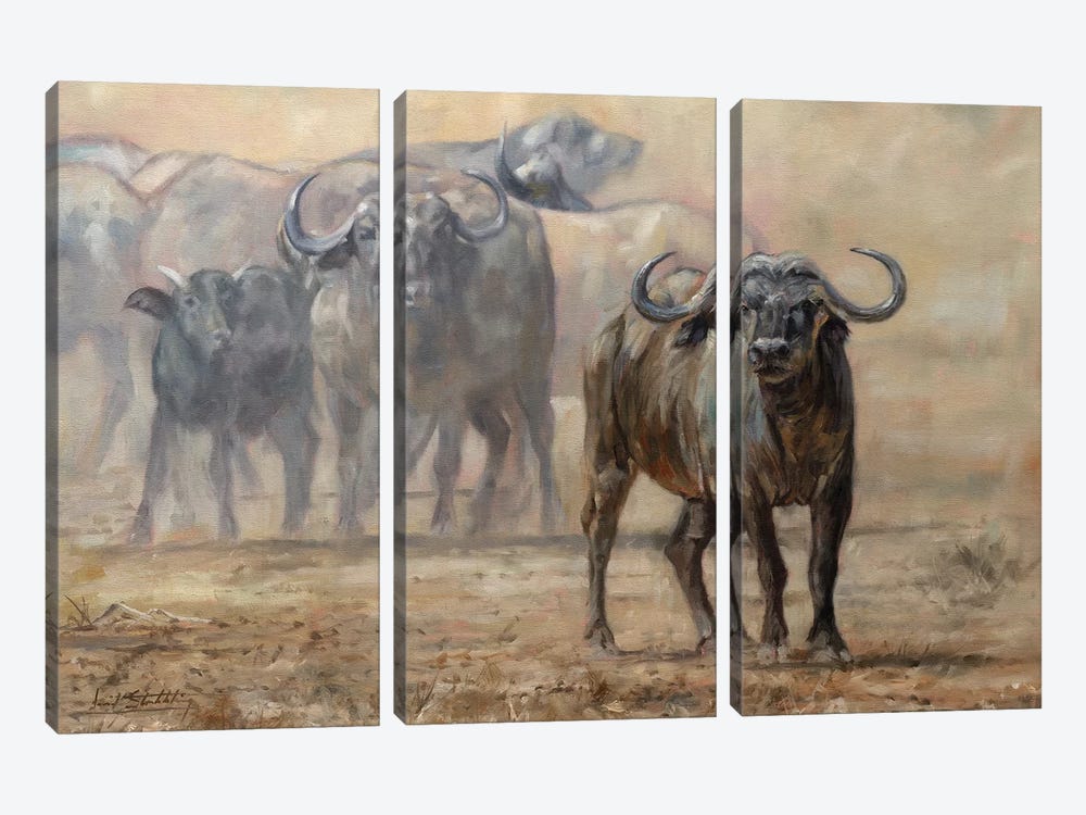 Buffalo Zambia by David Stribbling 3-piece Art Print