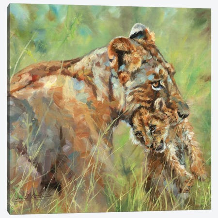 Lioness And Cub Canvas Print #STG219} by David Stribbling Canvas Artwork
