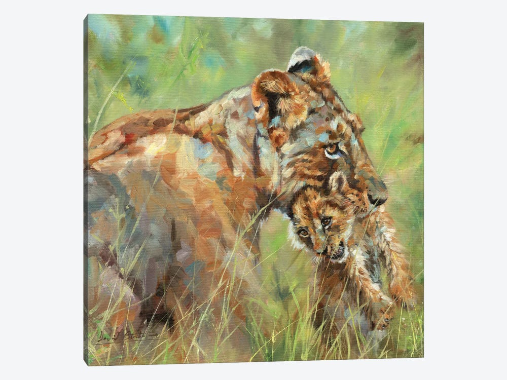 Lioness And Cub by David Stribbling 1-piece Canvas Art