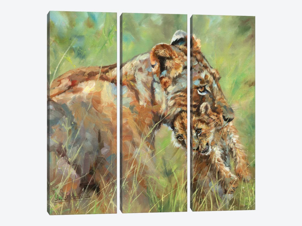 Lioness And Cub by David Stribbling 3-piece Canvas Artwork