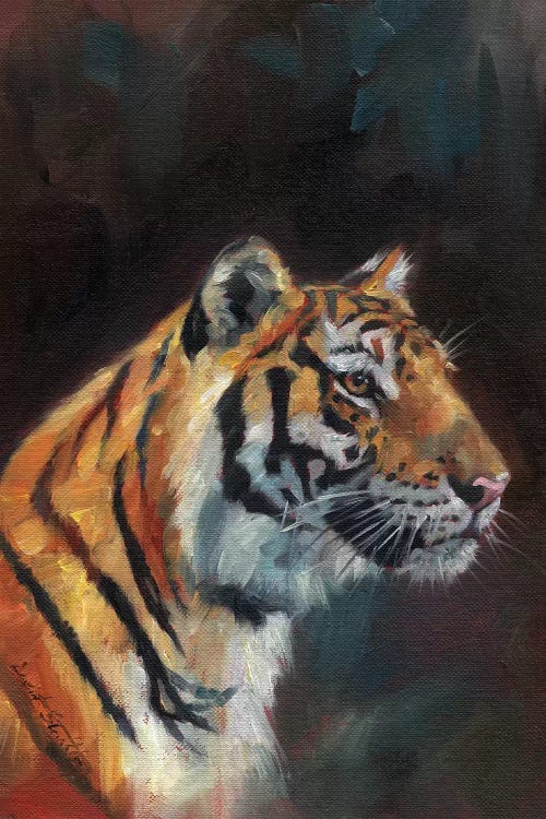 Portrait Of A Tiger