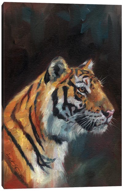 Portrait Of A Tiger Canvas Art Print - David Stribbling