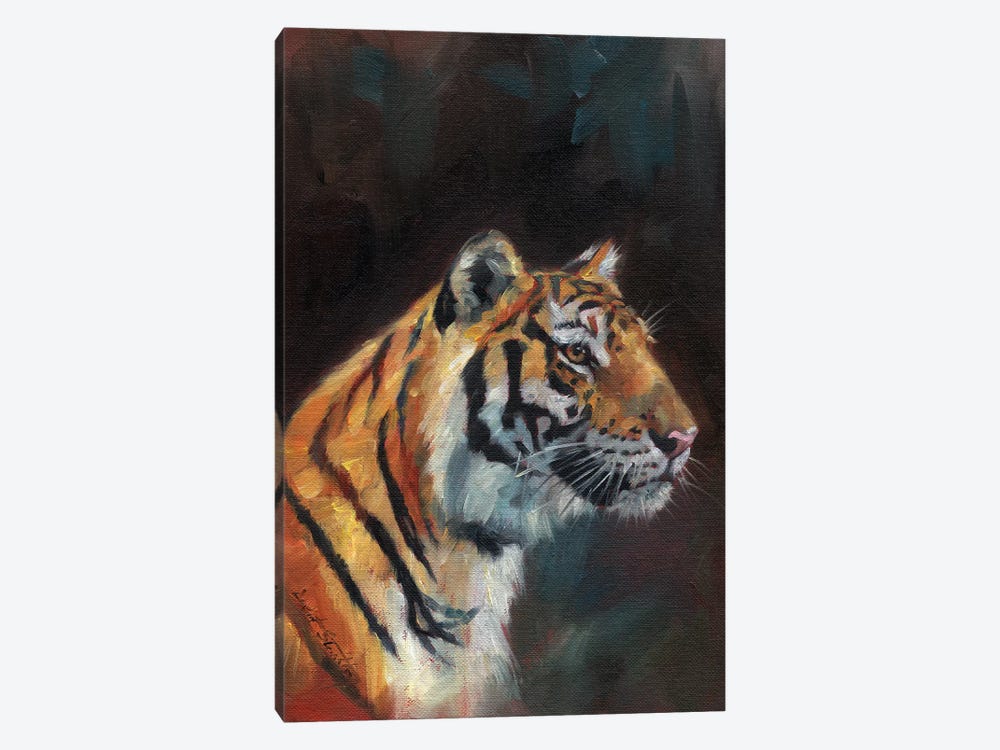 Portrait Of A Tiger by David Stribbling 1-piece Canvas Artwork