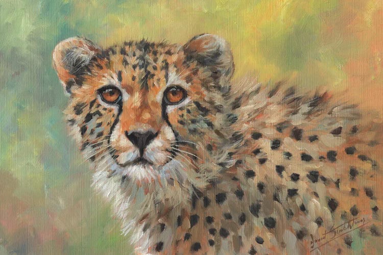 Portrait Of A Cheetah