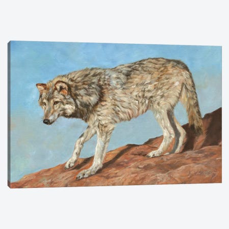 Red Rock Wolf Canvas Print #STG229} by David Stribbling Art Print