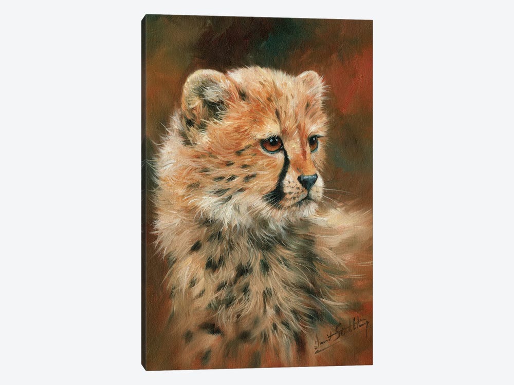 Cheetah Cub by David Stribbling 1-piece Canvas Art Print