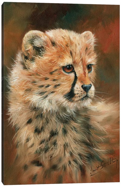 Cheetah – style with a canvas print – Photowall