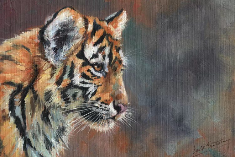 Tiger Cub Portrait In Oil