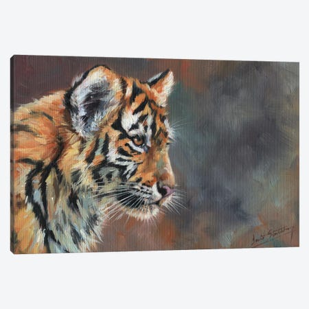 Tiger Cub Portrait In Oil Canvas Print #STG231} by David Stribbling Canvas Art