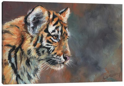 Tiger Cub Portrait In Oil Canvas Art Print - David Stribbling