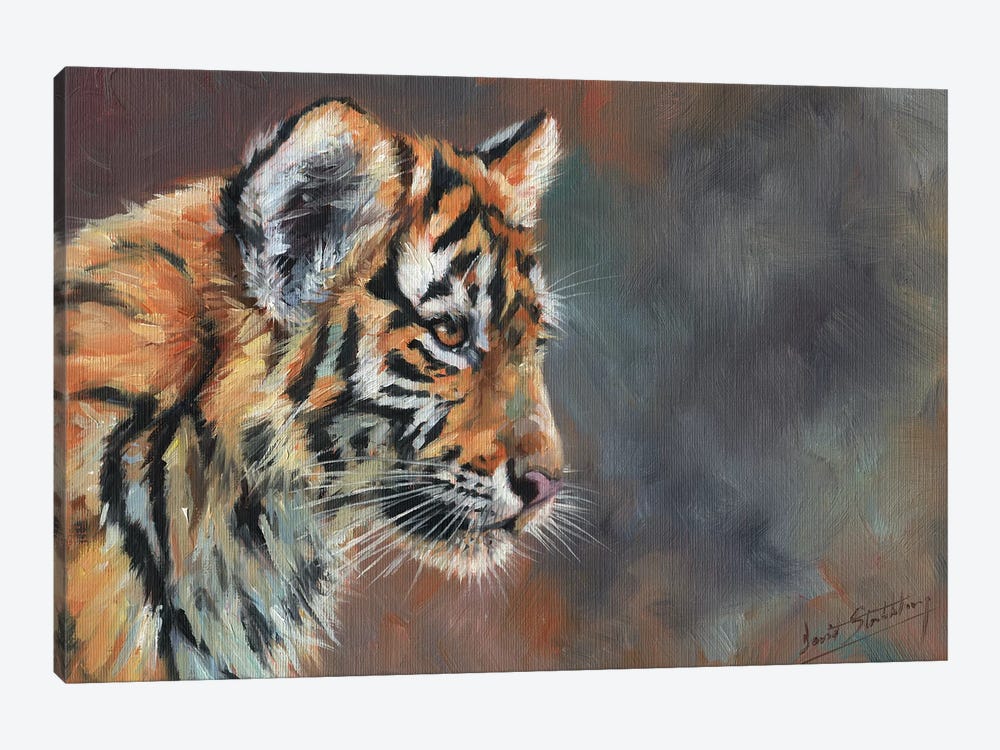 Tiger Cub Portrait In Oil by David Stribbling 1-piece Canvas Artwork