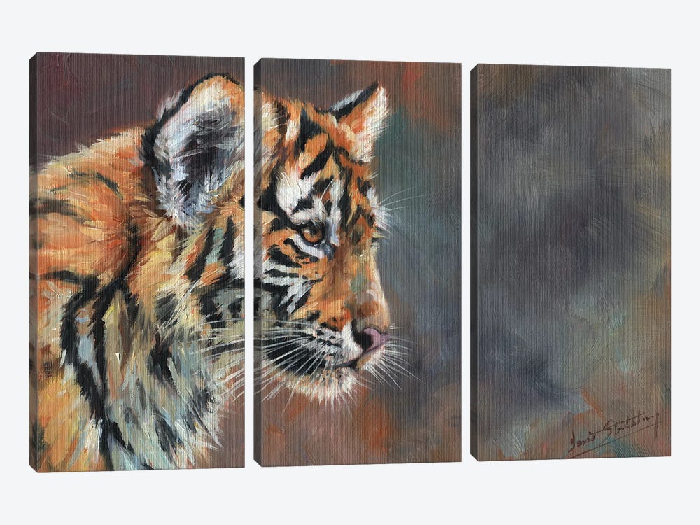 Tiger Cub Portrait In Oil by David Stribbling 3-piece Canvas Artwork