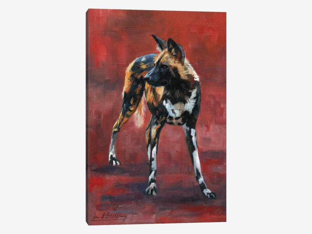 Wild Dog Study In Oil by David Stribbling 1-piece Canvas Art