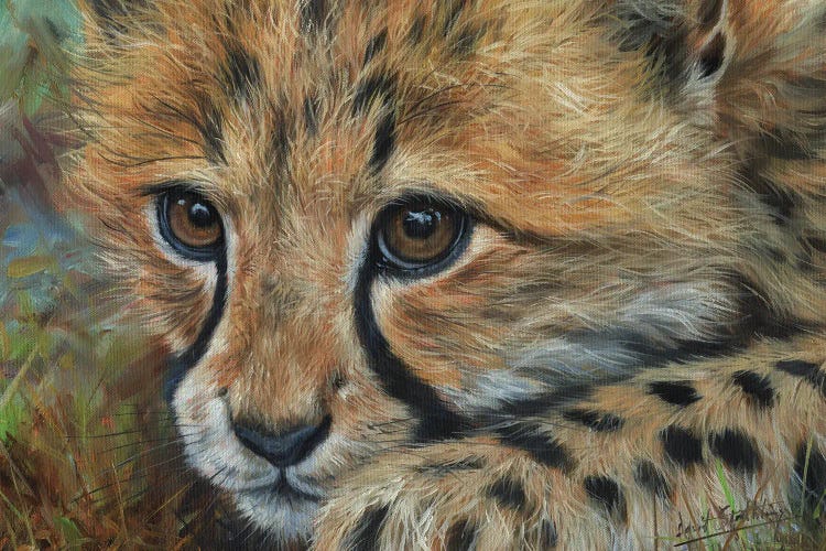 Cheetah Cub Close