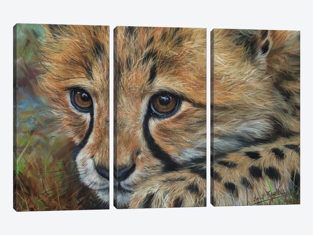 Cheetah Cub Close by David Stribbling 3-piece Canvas Art