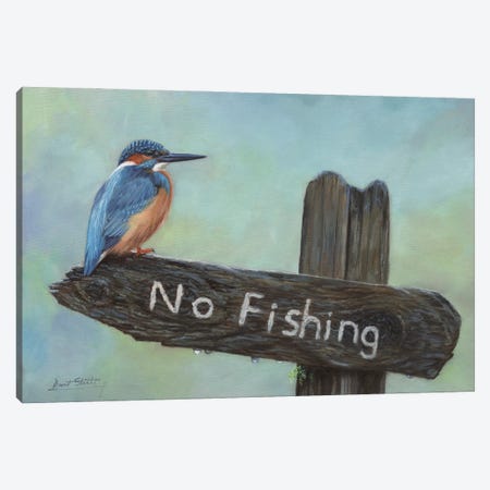Kingfisher No Fishing Canvas Print #STG237} by David Stribbling Art Print
