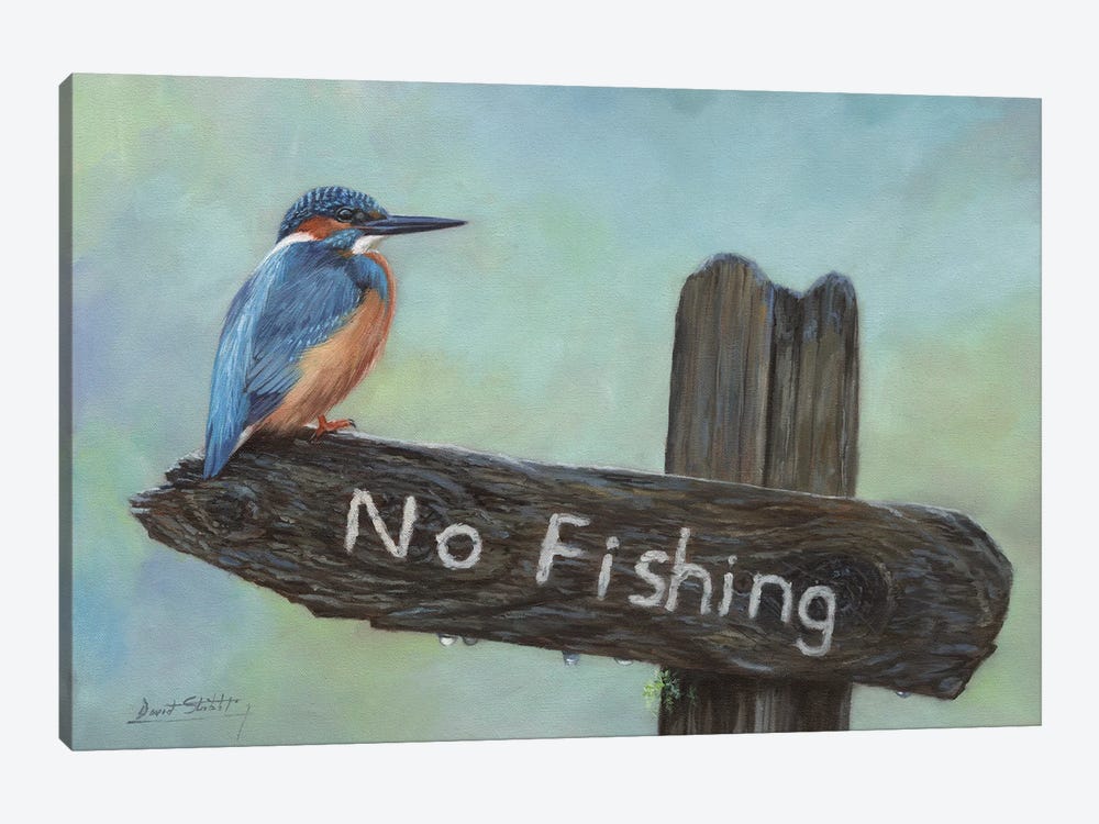 Kingfisher No Fishing by David Stribbling 1-piece Canvas Artwork