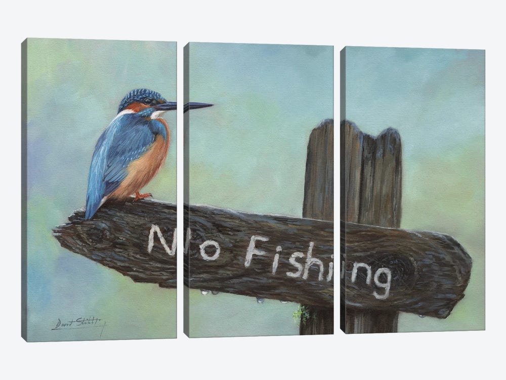 Kingfisher No Fishing by David Stribbling 3-piece Canvas Art