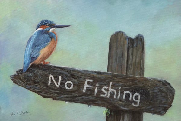 David Stribbling: Kingfisher No Fishing by David Stribbling