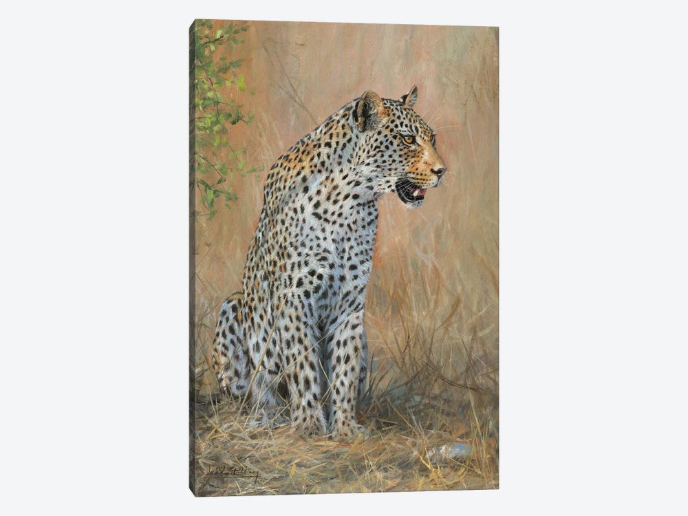 Leopard Male Sitting by David Stribbling 1-piece Art Print