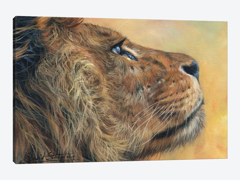 Lion Profile by David Stribbling 1-piece Canvas Artwork