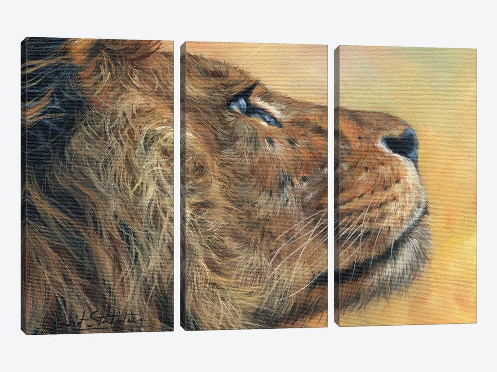Lion Profile by David Stribbling 3-piece Canvas Wall Art