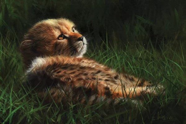 Cheetahs: Cheetah Cub In Grass by David Stribbling