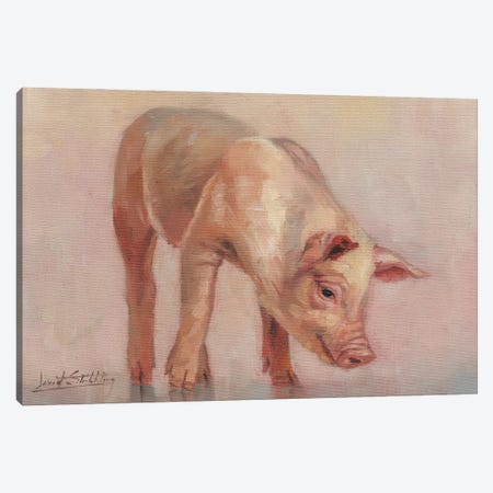 Little Pig Canvas Print #STG240} by David Stribbling Canvas Print