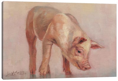 Little Pig Canvas Art Print - David Stribbling